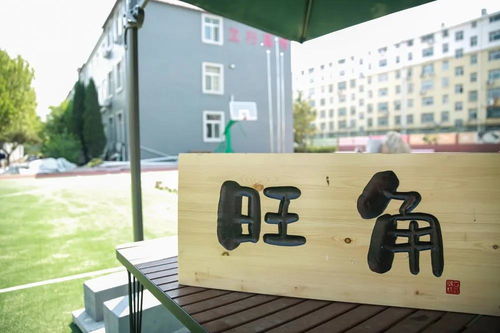 東營藝術生文化課輔導 理性選擇與科學備考——以濟南立行學?？萍贾笇槔?></a></div>
<div   id=